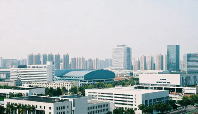 系统实施：专业团队维护建议与性能分析